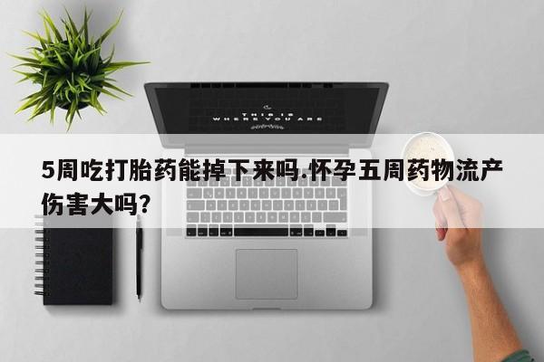 大月份流产药联系方式5周吃打胎药能掉下来吗.怀孕五周药物流产伤害大吗？